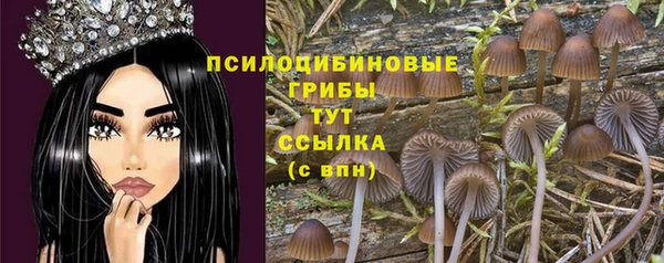 бошки Алзамай
