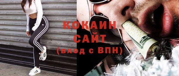 шишки Алексеевка