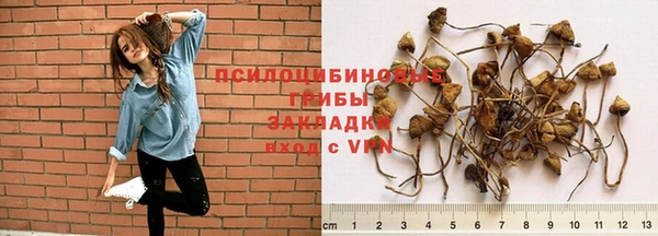 бошки Алзамай