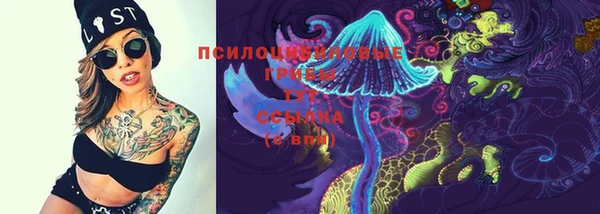 шишки Алексеевка