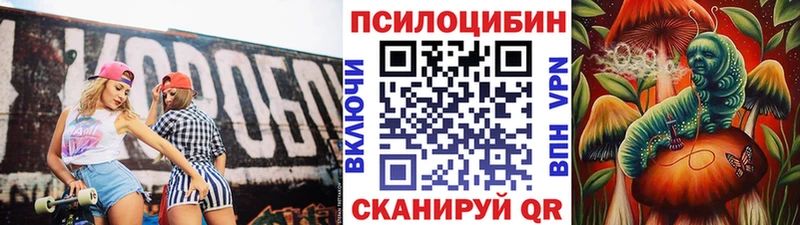 гидра ТОР Новоаннинский Псилоцибиновые грибы Psilocybe хочу